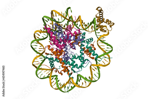Structure of human Sox2 (light brown) transcription factor in complex with a nucleosome. 3D cartoon model, secondary structure color scheme, PDB 6t7b