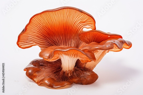 Close-up of isolated ganoderma mushroom on transparent or white background. Generative AI photo