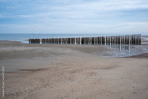 Weathered wood, breakwater at ebb tide on sandy beach