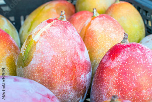 Spanish Mango: A Taste of Paradise.