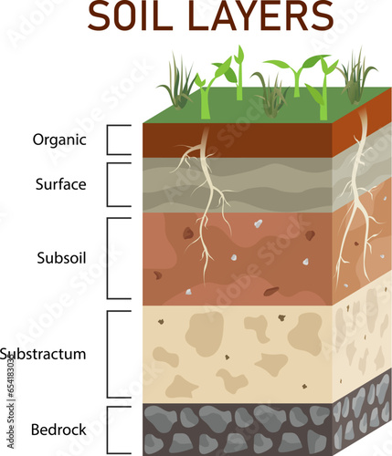 Soil layers diagram vector illustration, humus soil layer structure infographic