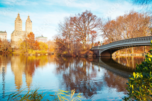 Central Park pond and  Bow bridge in winter. New York. USA