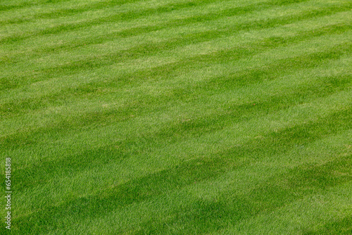 Grass mowed neatly into stripes