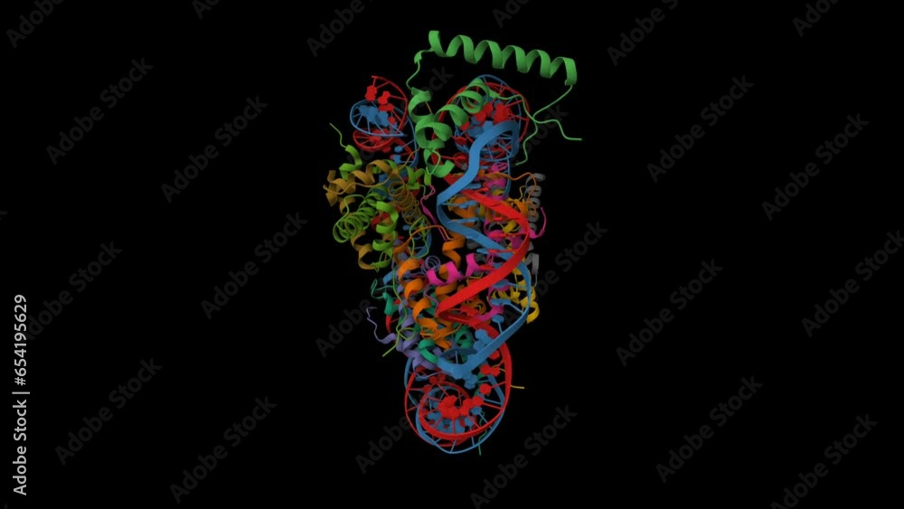 Structure of human Sox2 (light brown) transcription factor in complex