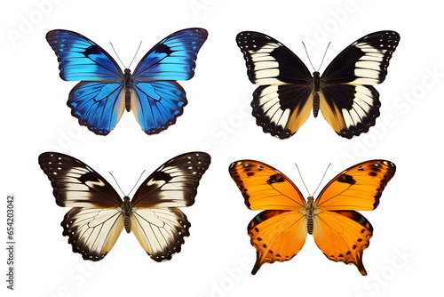 set of butterflies isolated on transparent background © Patrick