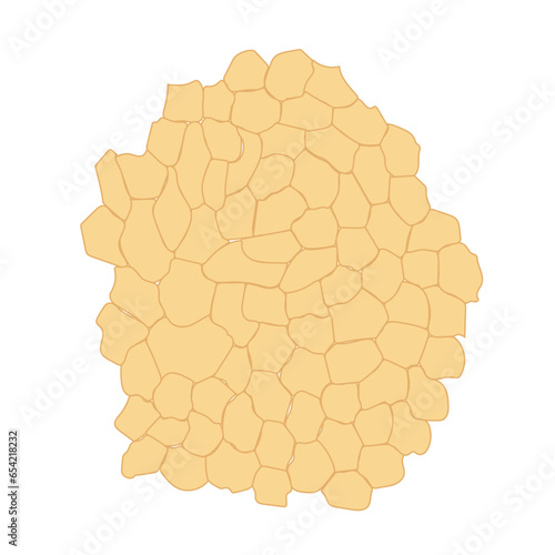 Medical background pattern. Fat tissue with yellow cells. . Vector illustration