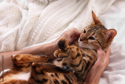Woman with cute Bengal cat on bed at home, closeup. Adorable pet