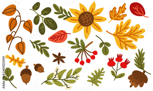 Autumn collection of vector illustrations drawn by hand. A set of cliparts with cozy attributes of the autumn season Autumn accessories  dried leaves  harvest  forest plants Decorative design elements