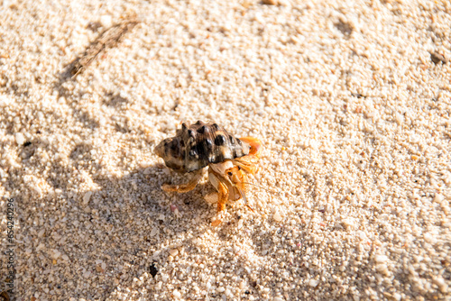 Dominikanische Republik