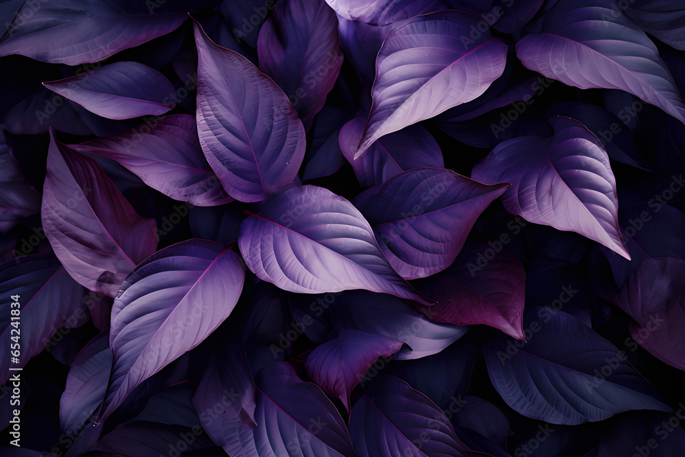 Closeup Nature View of Purple Leaves Background and Dark Tone.