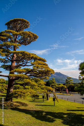 trees of Kagoshima Sengan-en Japanese style landscape garden, vertical