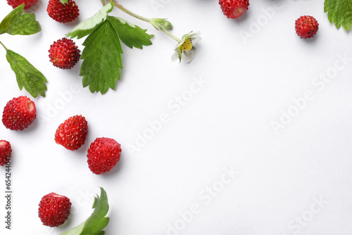 Many fresh wild strawberries, flower and leaves on white background, flat lay. Space for text