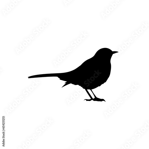 Bird vector png