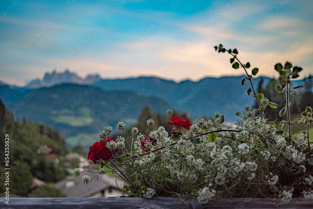 typical dolomite style balcony, decorated with beautiful flowers, with a stunning mountain view, Dolomites, Italy 