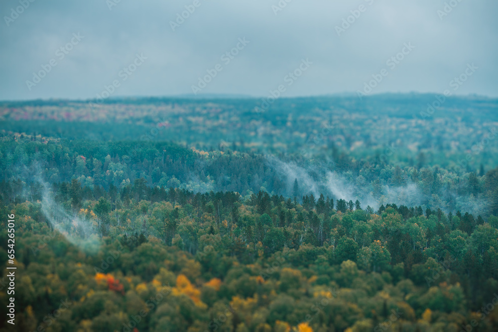 Obraz premium tilt shift of the fall forest with steam rising up from the trees