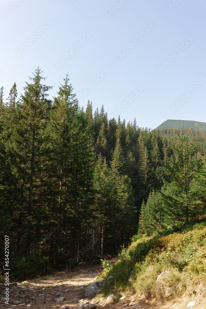 Hala Gasienicowa in Carpathian Mountains, Poland. Sunny day at fall season. Hala Gasienicowa in Carpathian Mountains, Poland. Sunny day at fall season.