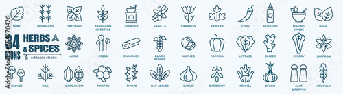 Herbs and spices - minimal thin line web icon set. Outline icons collection. Simple vector illustration.
