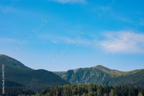 Beautiful pine trees on background high mountains. Carpathians © Ванжа Юрий