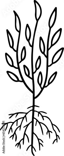 Fototapeta Naklejka Na Ścianę i Meble -  cartoon tree with root illustration.
