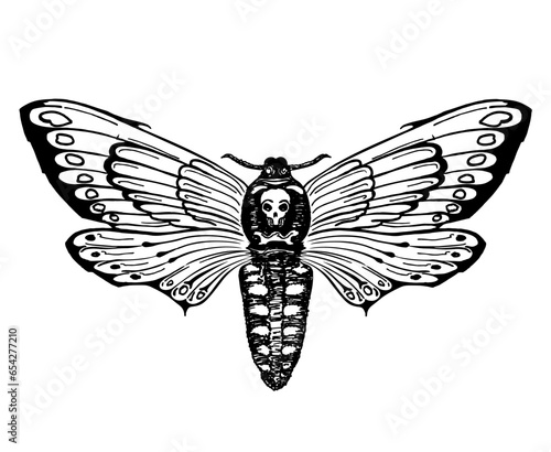 Butterfly Dead Head. Death s head hawk moth. Hand drawn vector ink illustration in trendy engraved style. Moth design tattoo sketch. Vintage drawing for t-shirt print, poster, coloring book. Tattoo photo
