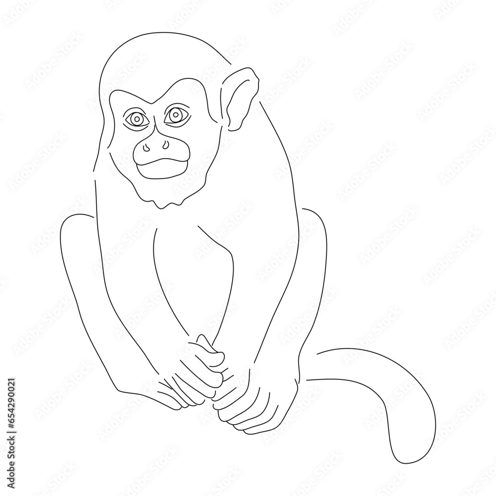 Obraz premium Hand-drawn Squirrel monkey. Vector editable stroke.