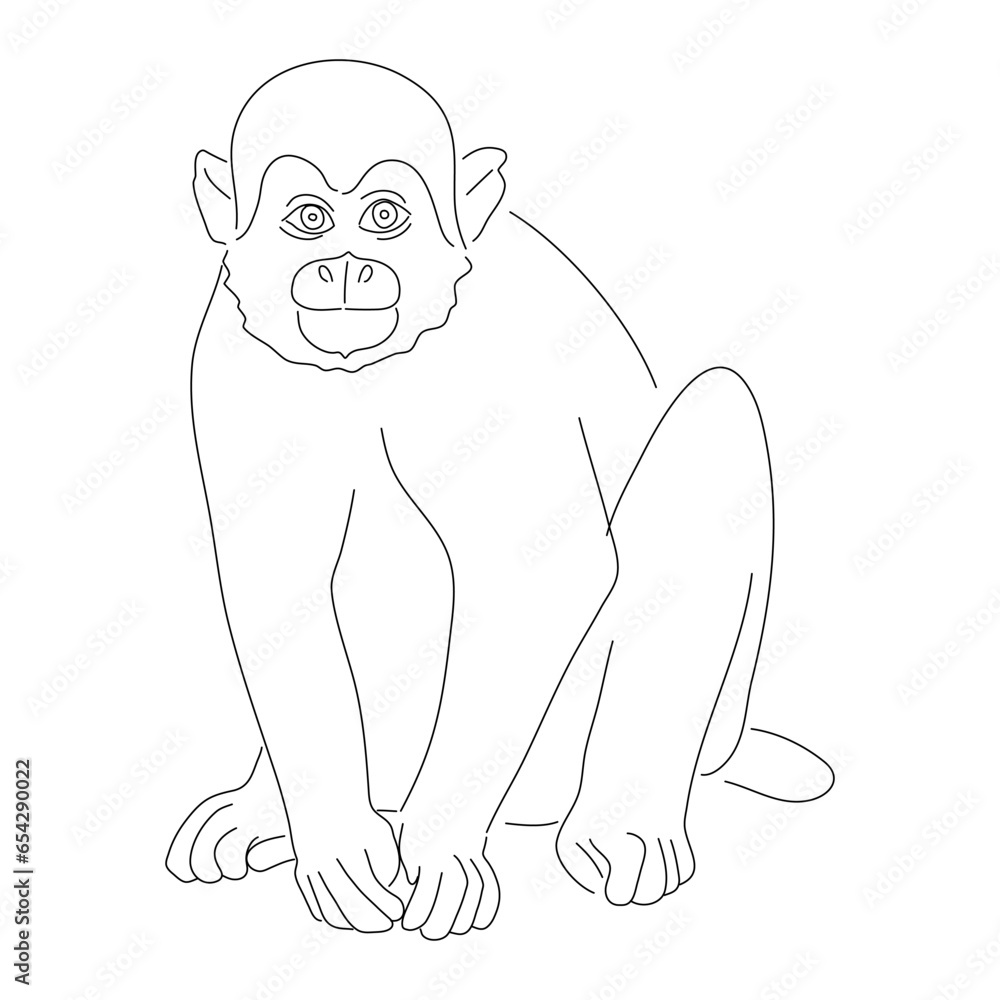 Fototapeta premium Sketch drawing of a Squirrel monkey isolated on a white background. Vector editable stroke.