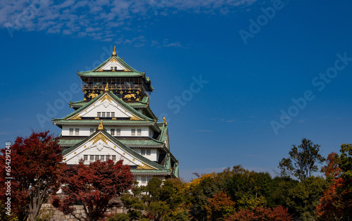 Main Tower of Osaka Castle in Autumn with red orange green leaves  blue sky backgroung