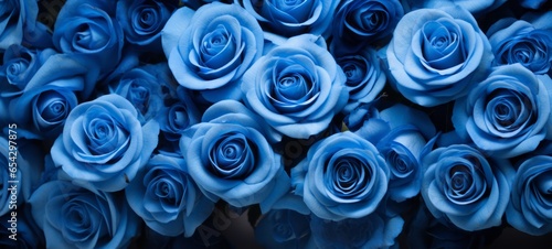 Many blue roses banner