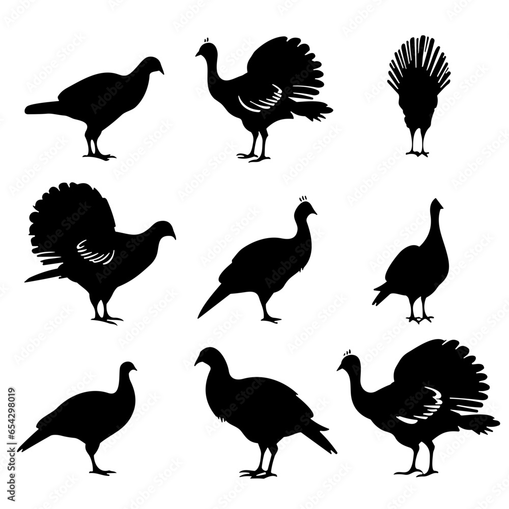 Naklejka premium set of silhouettes of turkey