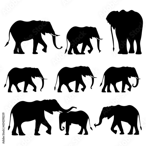 Photography set of elephants