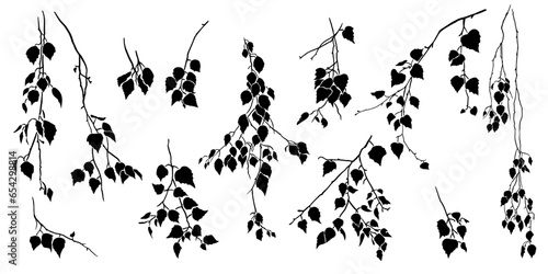 Birch tree branch with leaves. Collection of various isolated  silhouettes. Vector nature template.