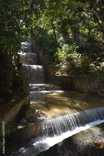 Madera levada  Fajã do Rodrigues