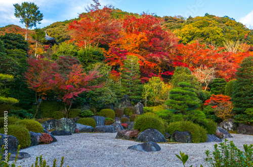京都 秋の三室戸寺を彩る紅葉と枯山水の日本庭園