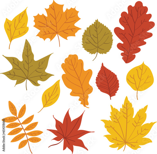 Illustrations of Colorful leaves in autumn illustration set