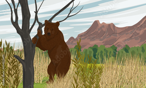 A brown bear stands on its hind legs near a tree. Valley with bushes and grass at the foot of the mountains. Wild nature. Realistic vector landscape