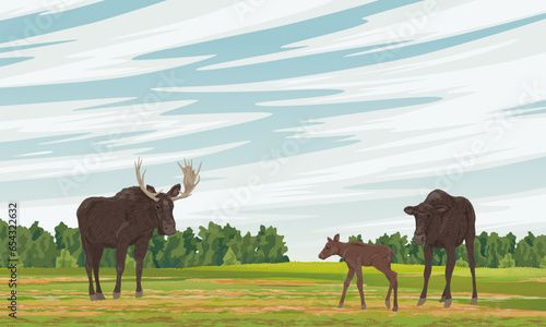 Elk family in the meadow. Realistic vector landscape