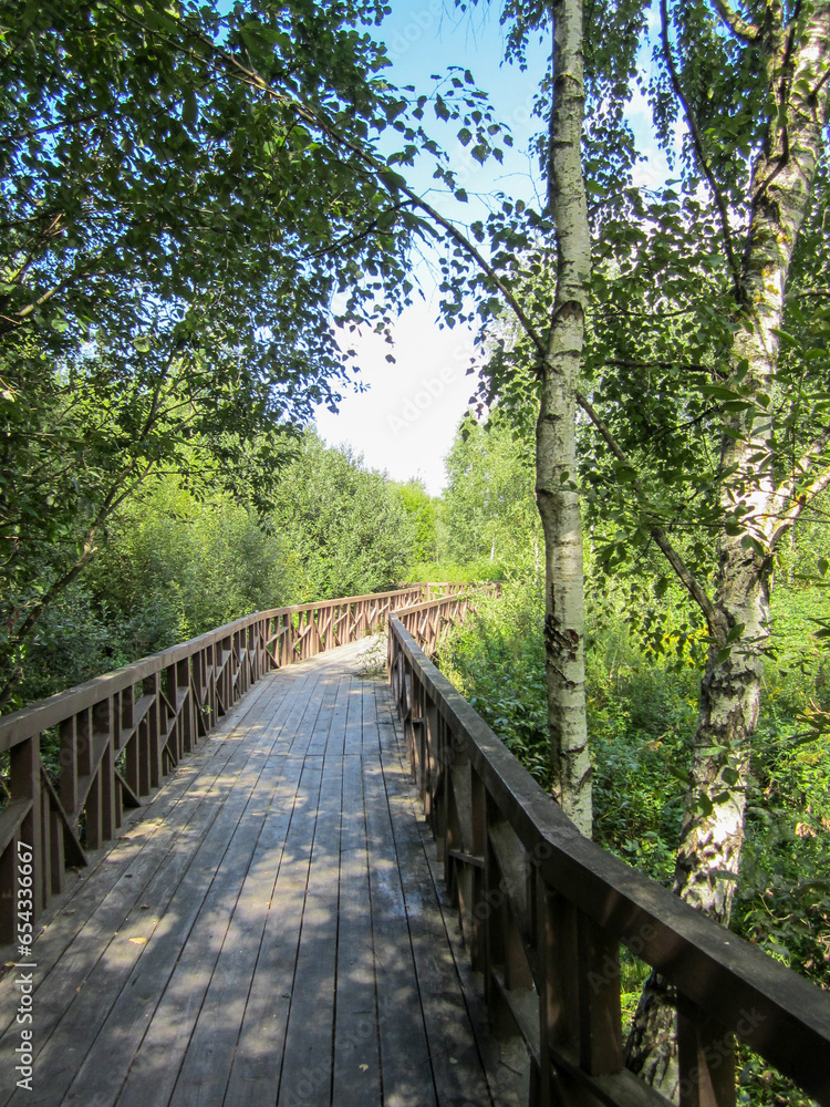 A winding wooden eco-trail among trees and bushes.