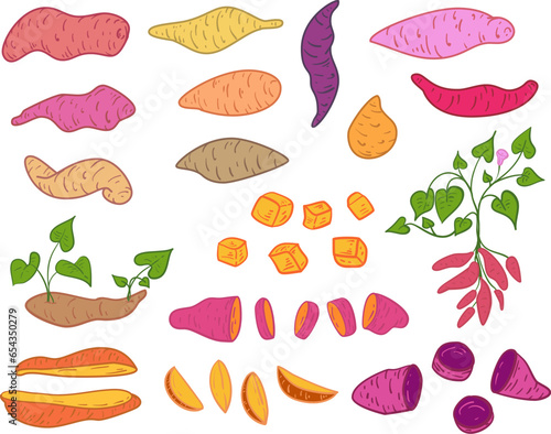 Sweet potato in flat cartoon style. Set design elements for health food or cooking ingredient. Hand drawn color vector illustration. Doodle art objects.