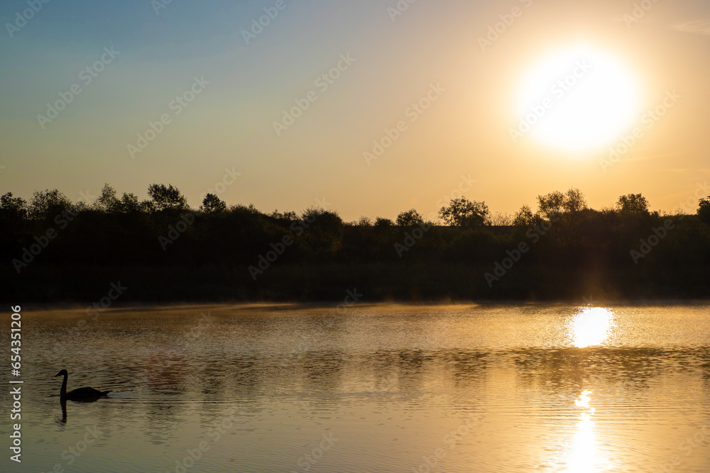 Fototapeta premium Landscape with a sunrise on the river