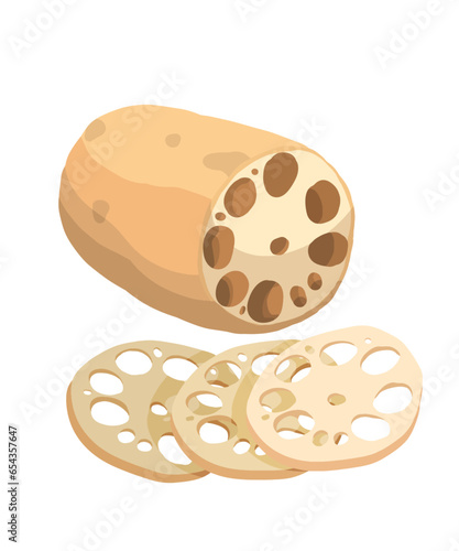 Lotus root. Asian Vegetable Illustration Vector.