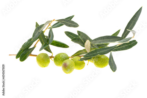 Wallpaper Mural branch with green olives isolated Torontodigital.ca