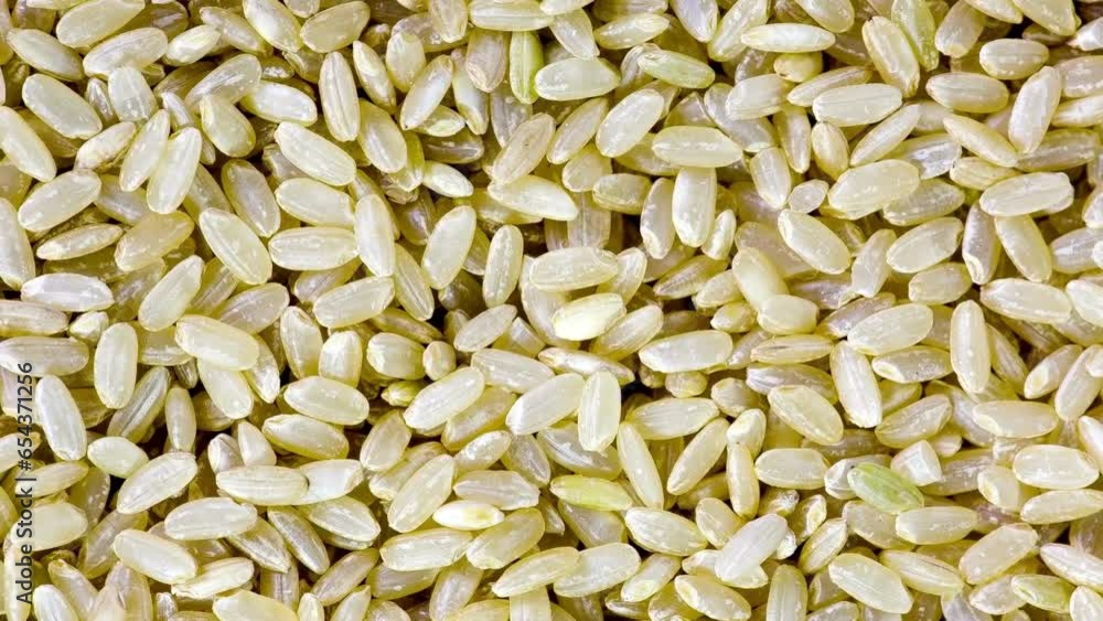 Close-Up Dolly Shot of Fresh Raw Rice in 4K Video Close-Up Dolly Shot of Fresh Raw Rice in 4K Video