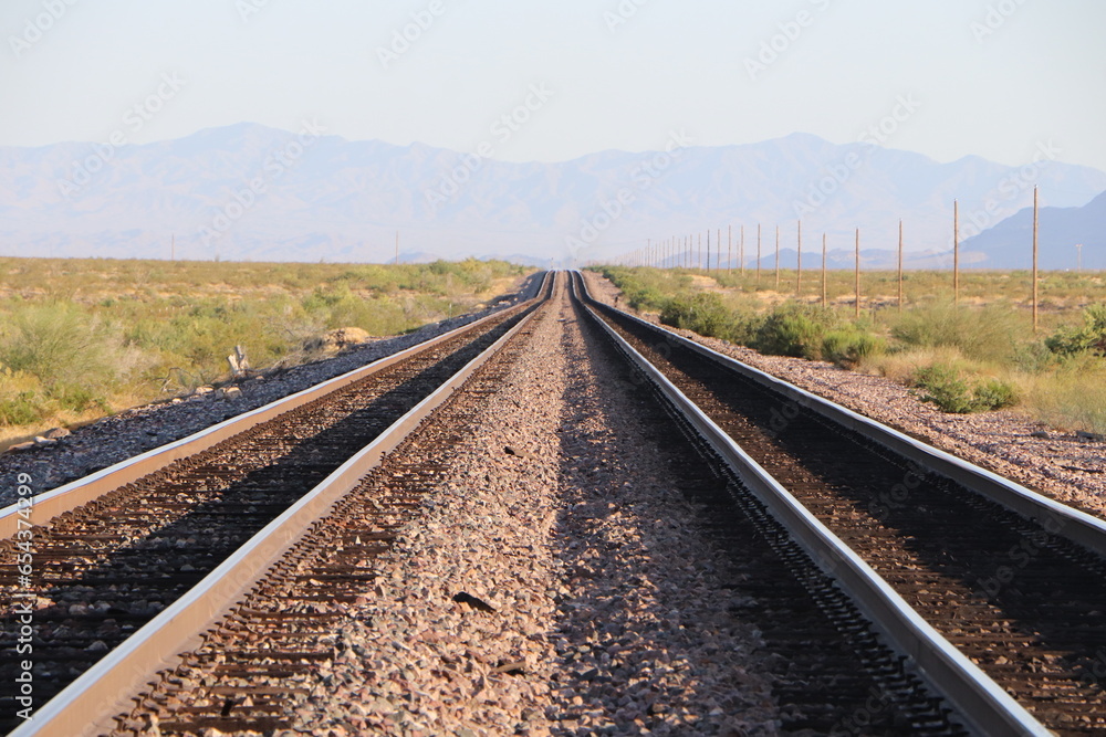 Desert train tracks