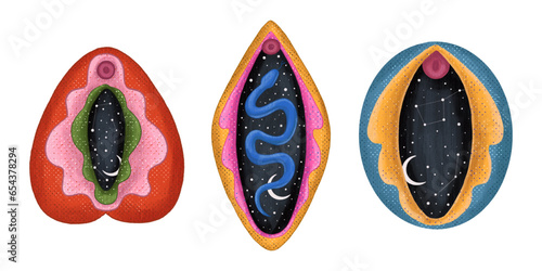 abstract image of a vagina. outer space, planets, moon and stars. snake tempter and plant herbs. printing on fabric and paper. radical feminism. vector