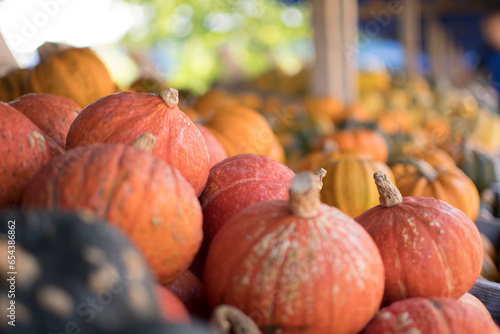 pumpkings getting ready for halloween