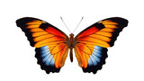 butterfly isolated on transparent background 