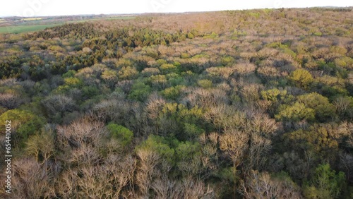 Lighthorne woods drone shot