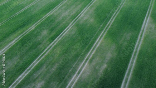 Lighthorne woods drone shot