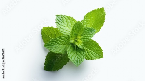fresh leaves. Mint on a white isolated background. Mint leaves. Mint for cocktails and lemonades