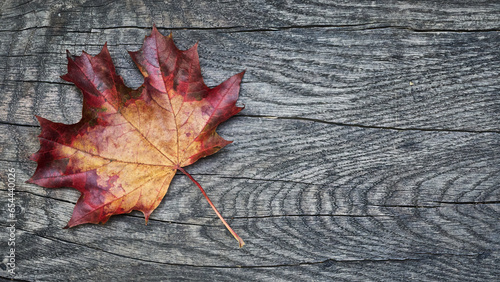 Autumn maple leaf on wood background with copy space for your text and advertising message (top view).